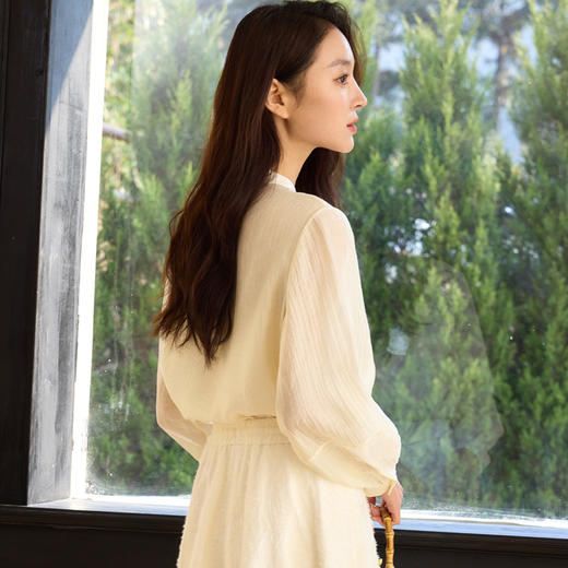 玳莎新中式绣花衬衫女2025年春季新款设计感灯笼袖小立领绉感上衣  FA31301 商品图3