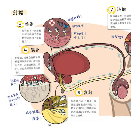 《精子有话说》 商品图8