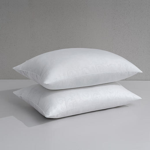 水星家纺_宁逸抗菌对枕 商品图1