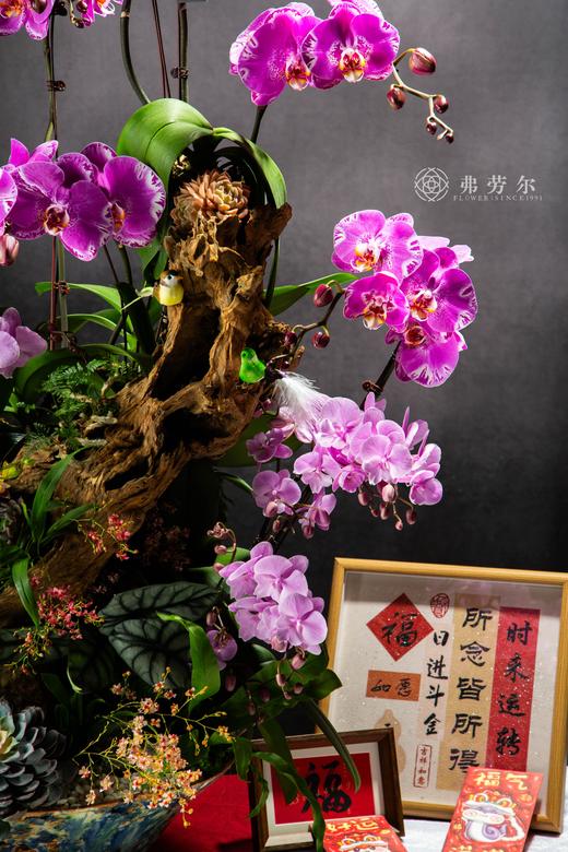 红红火火 商品图1