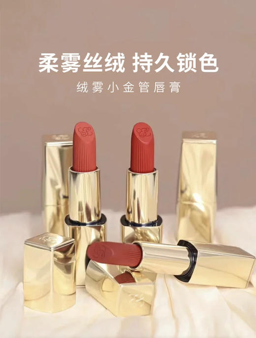 雅诗兰黛丝绒哑光小金管#557 商品图1