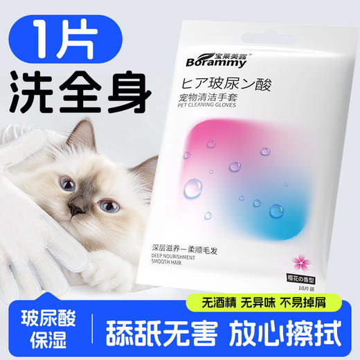 宝莱美露免洗手套10片装 加大加厚 可舔舐 宠物清洁工具批发 商品图2