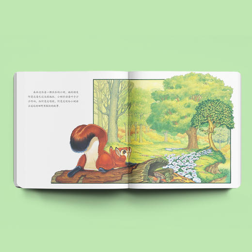 逆商培养系列-儿童情绪管理与性格培养（共4册）：《蒂比试一试》《小树》《哈利去医院》《心爱的毯子飞走了》 商品图2