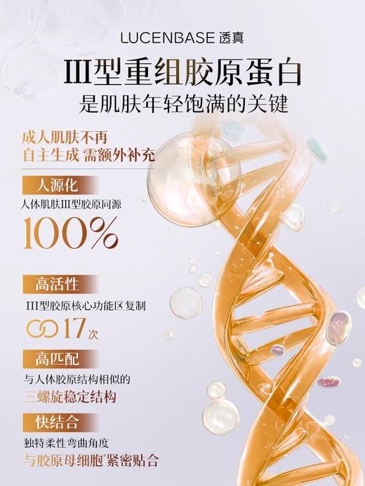 【28天补充骨胶原】双抗紧致焕亮面霜 55g#胶原蛋白胜肽淡纹修复面霜抗皱紧致保湿补水滋润修复乳液 商品图3