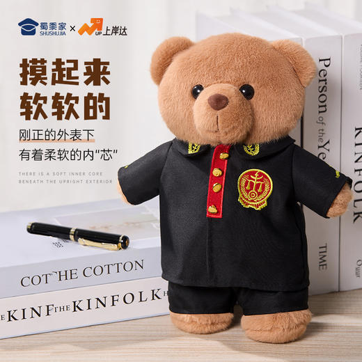 【法官站姿熊】可定制创意毛绒职业小熊公仔儿童玩具服装可脱送礼礼物 商品图4