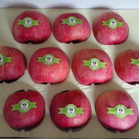 地理标志产品 栒邑红 正宗陕西旬邑秦脆苹果 咸阳马栏红核心产区 新鲜水果脆甜苹果 皮薄肉厚 礼盒装生鲜