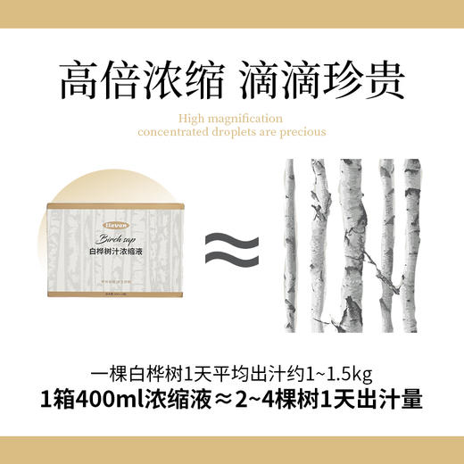 ⁴【大兴安岭浓缩白桦树浓缩液汁】50ml*8瓶/箱 YC04-CRMM-YKSC 商品图3