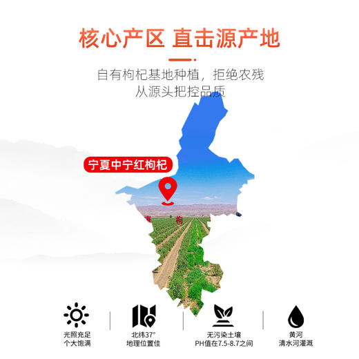 早康®特优枸杞108g*2袋 商品图3