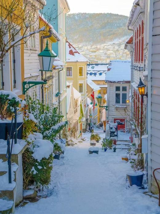 挪威 个人旅游签证·代做机票酒店行程单+陪同办签+支持商务、探亲访友 商品图3