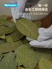 VEpiaopiao 家用香辛料4瓶礼盒装 精品肉桂棒/八角/七星椒/月桂叶 商品缩略图5