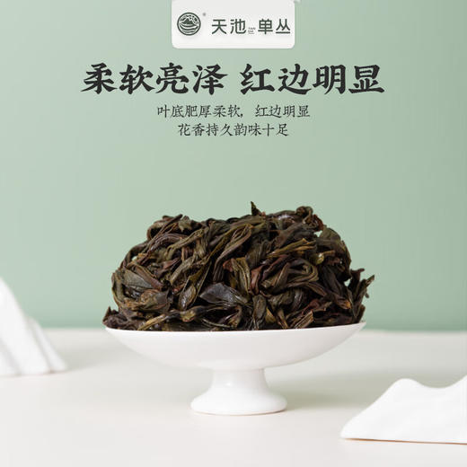 天池丨鸭屎香 金秋银月 凤凰单丛 乌龙茶 210g 礼盒装 商品图4
