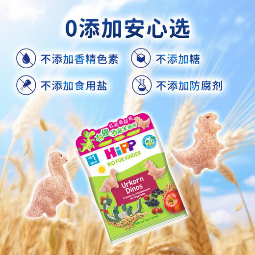 （新品 香港直郵）HiPP喜實有機紅蘋蔓越莓恐龍米脆脆/紅蘋黑加侖子星星脆餅 商品图3