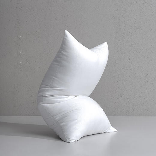 水星家纺_宁逸抗菌对枕 商品图3