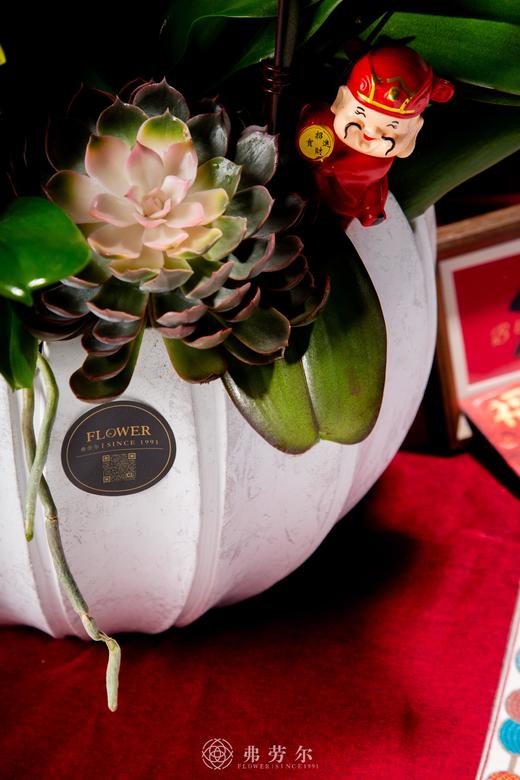 福星高照 商品图3