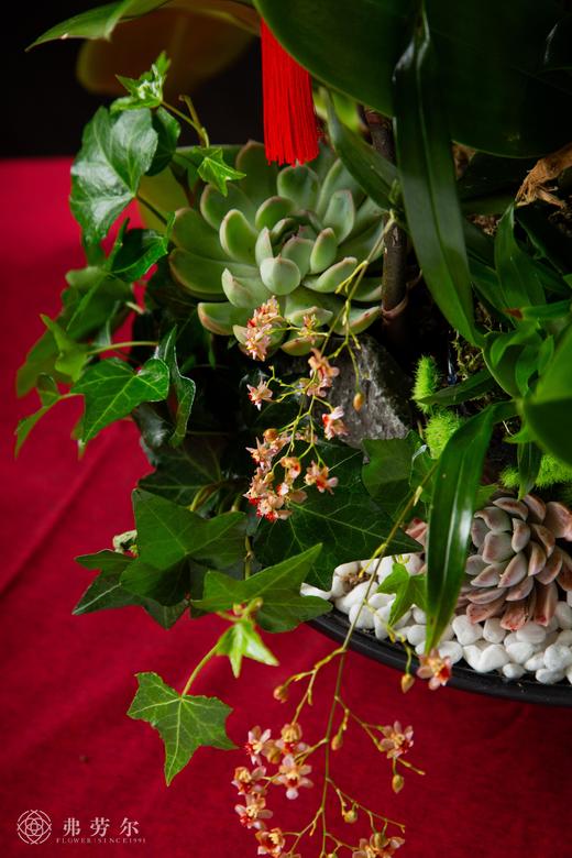 财源广进 商品图3