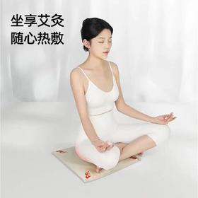 元气地带金丝艾绒坐垫