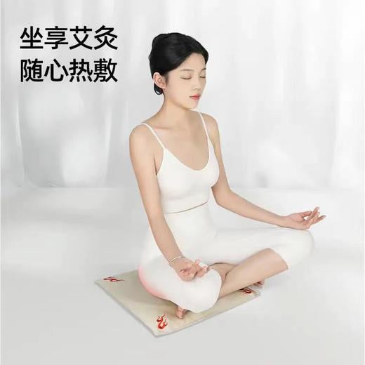 元气地带金丝艾绒坐垫 商品图0