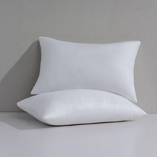 水星家纺_宁逸抗菌对枕 商品图2