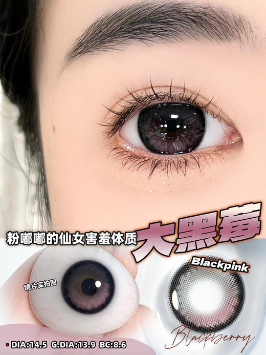 谐美 年抛 大金橘/大黑莓（高光款棕黑粉 14.5 最高1000度） 商品图1