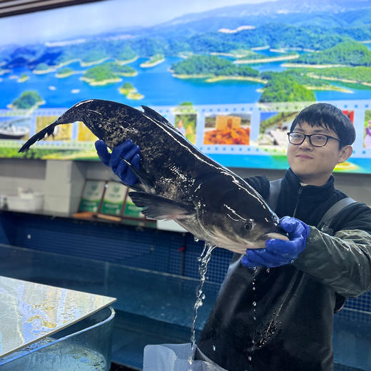 千岛湖山货大礼包 绿色家乡味 搞定一桌年夜饭 商品图5