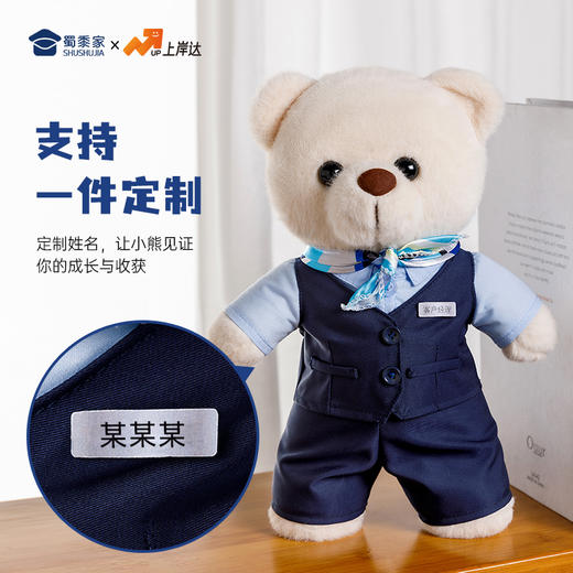 【银行职员站姿熊】可定制创意毛绒职业小熊公仔儿童玩具服装可脱送礼礼物 商品图1