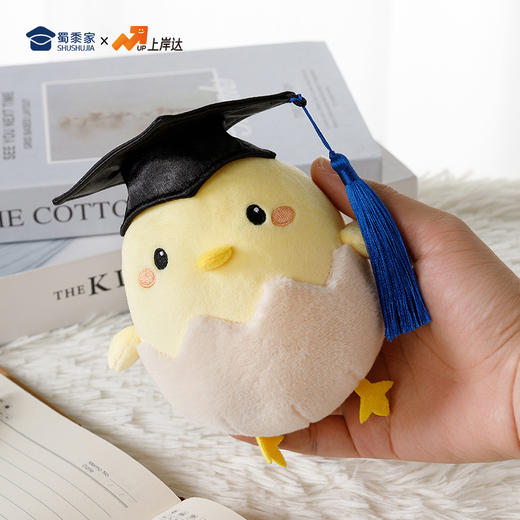【毕业蛋钥匙扣】可定制创意毛绒钥匙扣包包挂饰挂件毕业送礼礼品礼物 商品图9