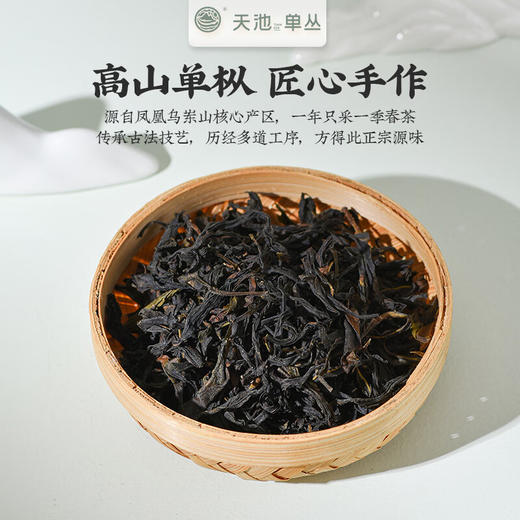 天池丨鸭屎香 金秋银月 凤凰单丛 乌龙茶 210g 礼盒装 商品图1