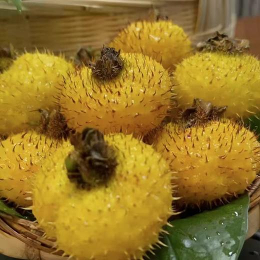 【安琪之家】010刺梨汁 富含维生素C/ SOD /维生素P 天然营养包  2L装居家必备 商品图4