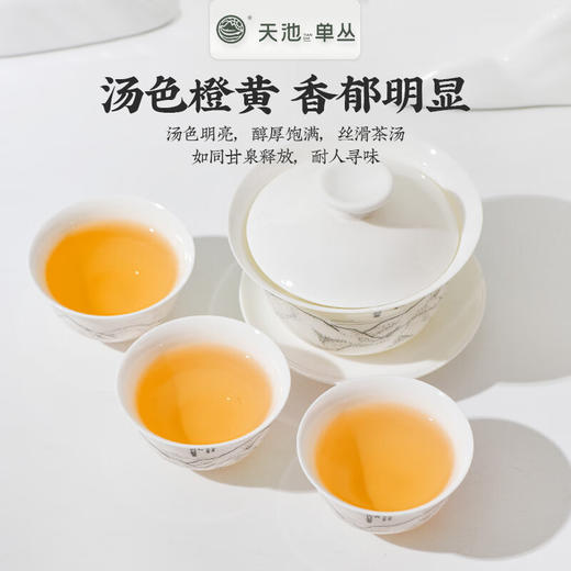 天池丨蜜兰香 金秋银月 凤凰单丛 乌龙茶 210g 礼盒装 商品图5