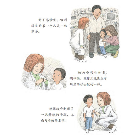 逆商培养系列-儿童情绪管理与性格培养（共4册）：《蒂比试一试》《小树》《哈利去医院》《心爱的毯子飞走了》 商品图6