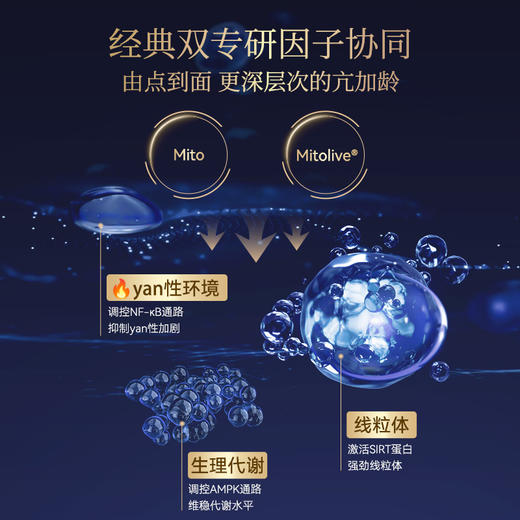 博奥真Bioagen 派络维Pro升级版周年纪念款-柏岁维3瓶装（60粒/瓶）精力续航唤醒（炎性抗衰+代谢抗衰+线粒体抗衰+自噬衰老细胞） 商品图5