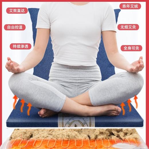 加热艾绒抱枕电加热坐垫热敷垫子保暖靠枕电热毯办公室艾草理疗垫 商品图1