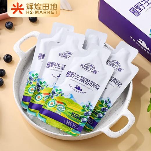 有机野生蓝莓原浆30ml*10袋/盒 商品图1