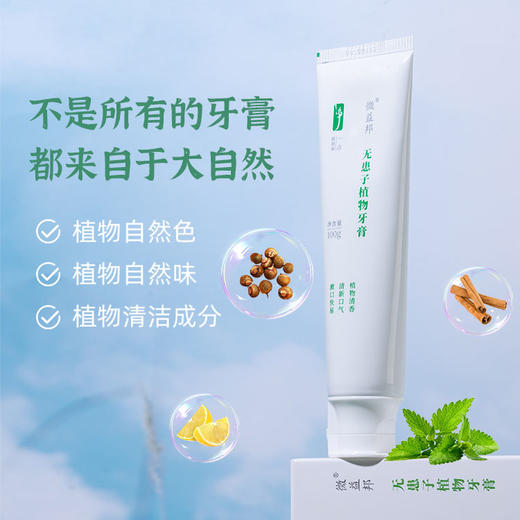 无患子植物牙膏 100g 商品图1