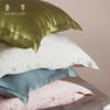 【HiGo精品专享】真丝枕套双面蛋白枕巾SANGLUO桑罗刺绣伴手礼物桑蚕丝绸枕套 商品缩略图1