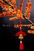 家业兴旺 商品缩略图2