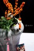 家业兴旺 商品缩略图1