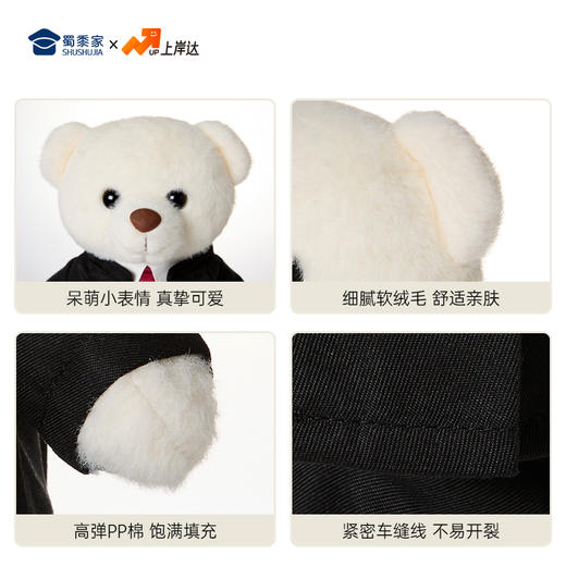 【律师站姿熊】可定制创意毛绒职业小熊公仔儿童玩具服装可脱送礼礼物 商品图6