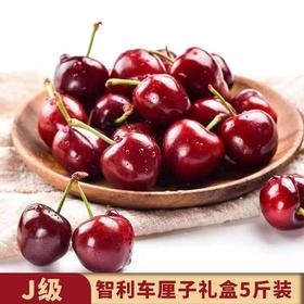 智利车厘子J礼盒5斤装 /份