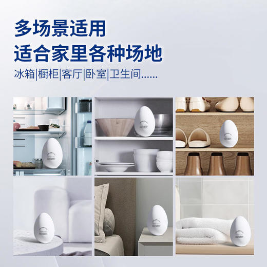 日本进口樱辉冰箱除味抑菌欧壳蛋 商品图4