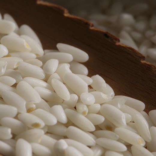 新疆羊脂籽米10斤装 2025年新米羊脂籽米家庭装 大米胚芽米 商品图3