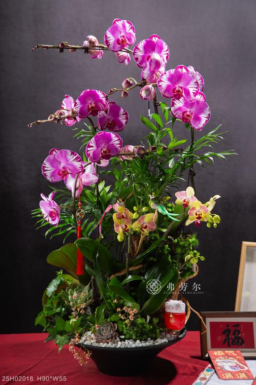 财源广进 商品图0