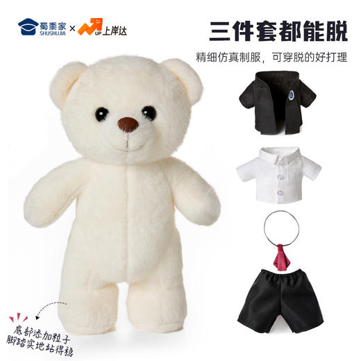 【律师站姿熊】可定制创意毛绒职业小熊公仔儿童玩具服装可脱送礼礼物 商品图3
