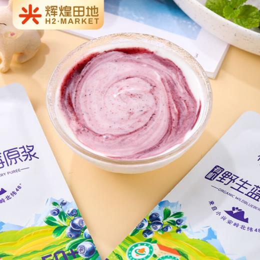 有机野生蓝莓原浆30ml*10袋/盒 商品图4