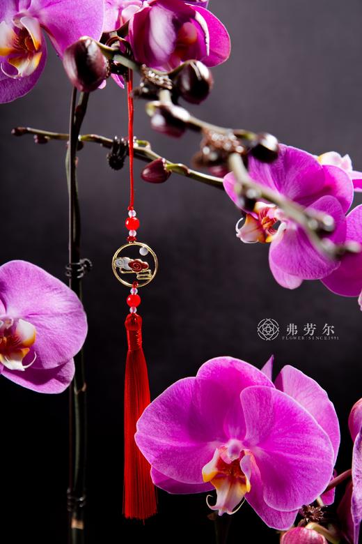 福如东海 商品图1