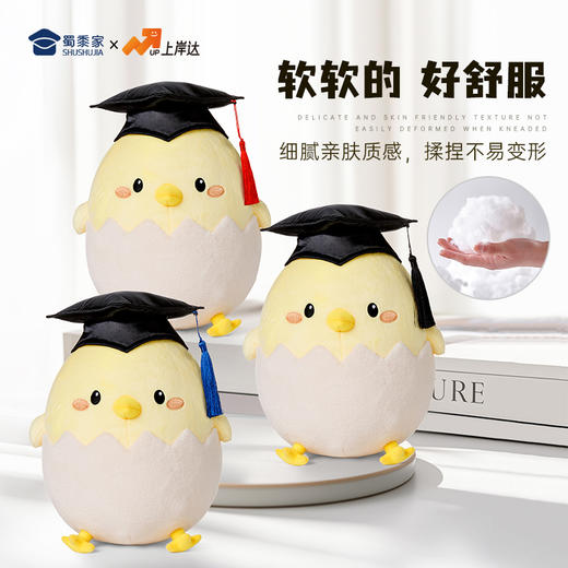 【毕业蛋公仔（可定制）】创意毛绒公仔摆件毕业送礼礼品礼物 商品图5
