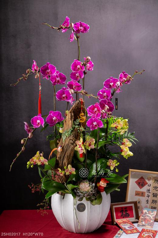 福星高照 商品图0