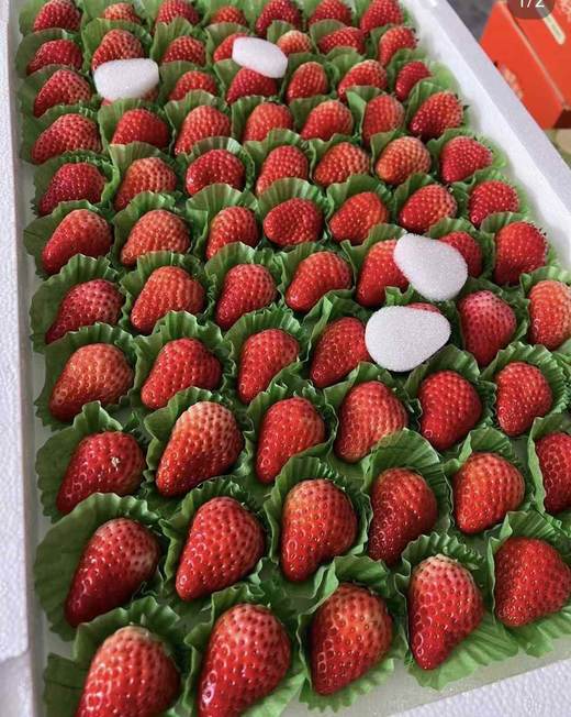 丹东草莓（板） 商品图2