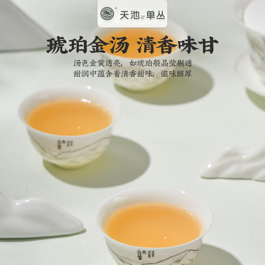 天池丨鸭屎香 金秋银月 凤凰单丛 乌龙茶 210g 礼盒装 商品图3
