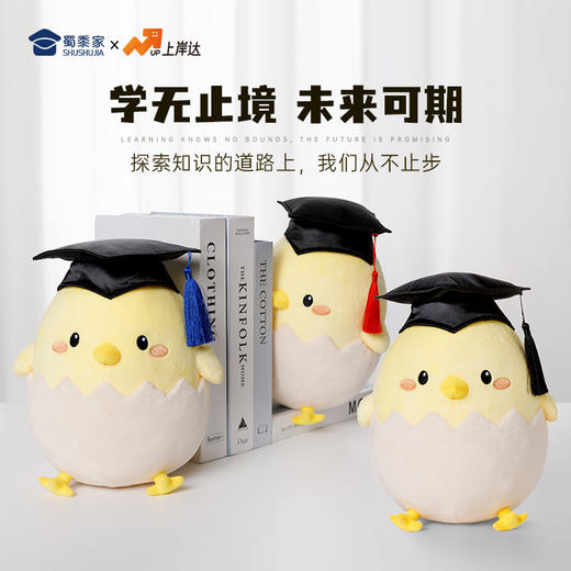 【毕业蛋公仔（可定制）】创意毛绒公仔摆件毕业送礼礼品礼物 商品图4